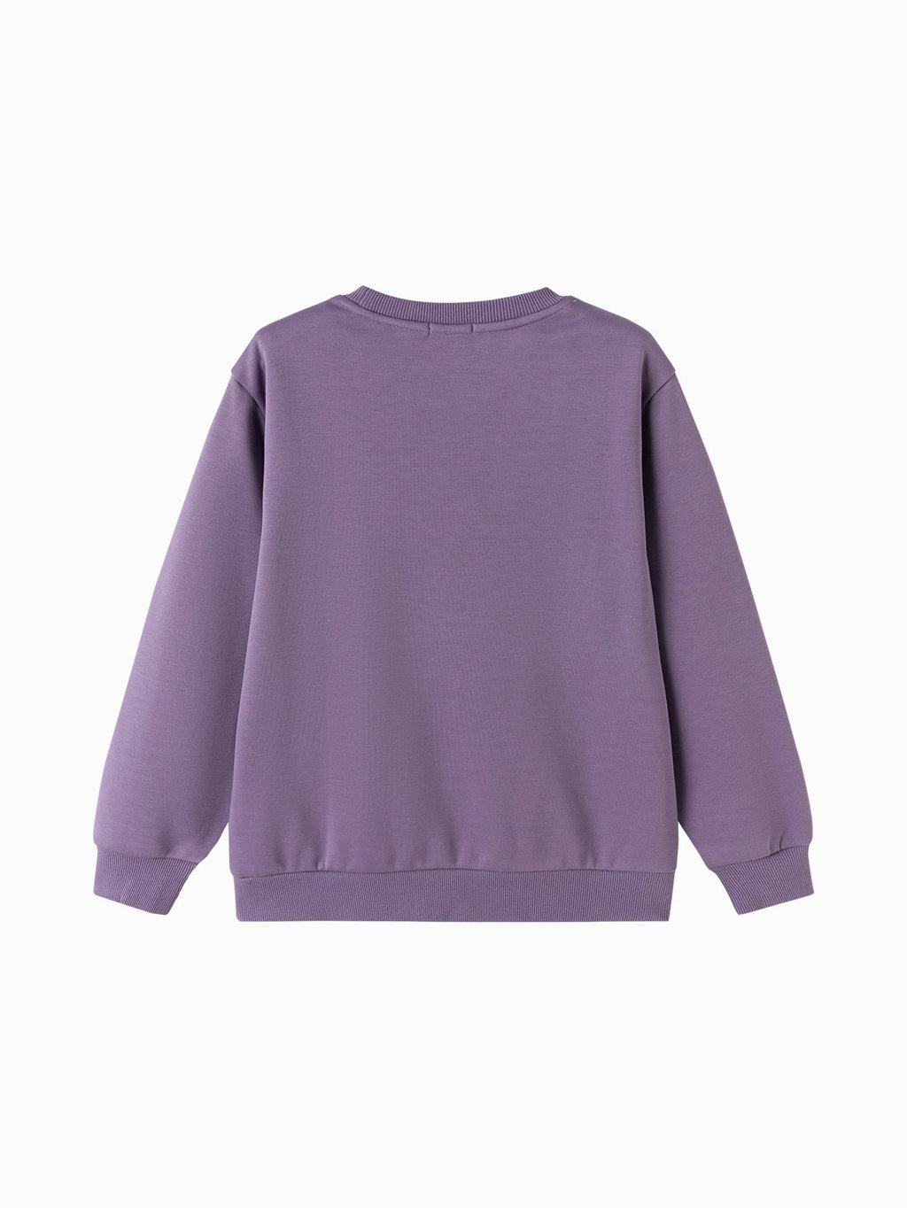 Balabala Boy Kids Sweatshirt