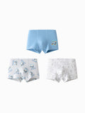 balabala boy kids Underpants