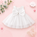 The Aya - Newborn Baby Girl Floral Party Dress Elegant Ball Gown Style