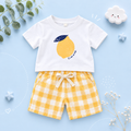 The Abraham - Baby Boy Lemon Print T-Shirt + Checkered Beach Shorts