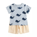 Cartoon Boys Clothing Set