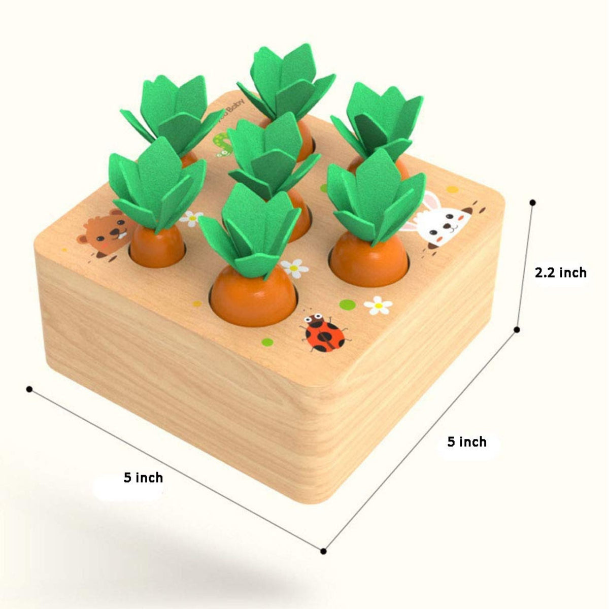 Montessori Carrot Set