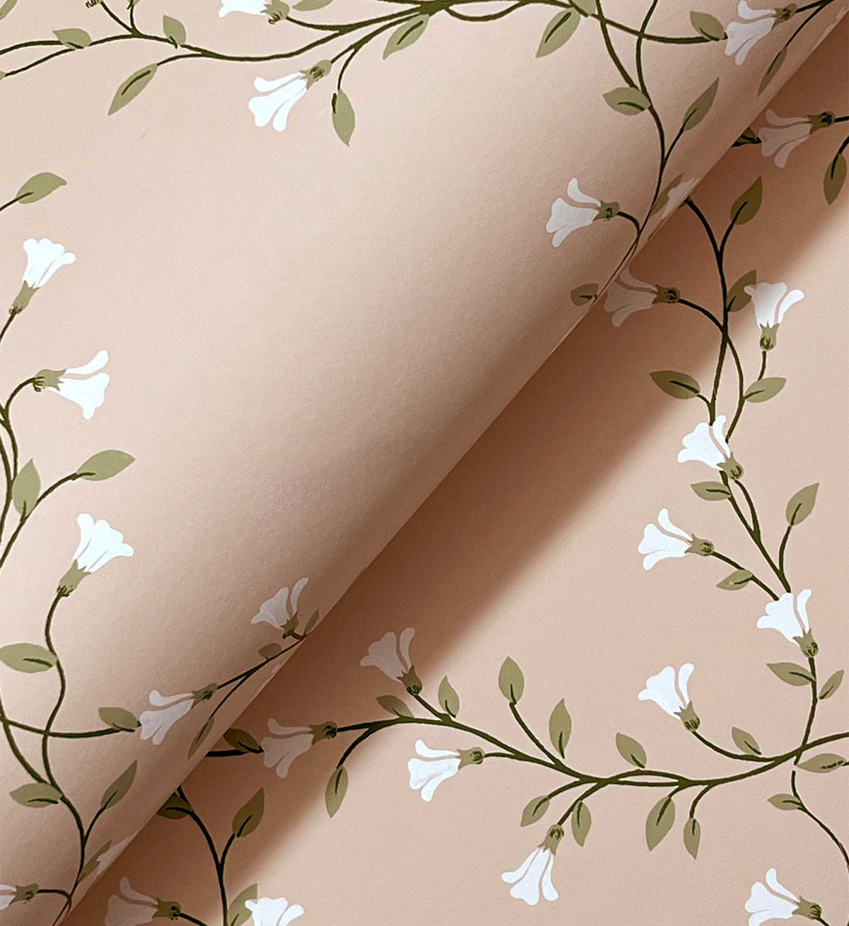 Bellflower Wallpaper - Rose
