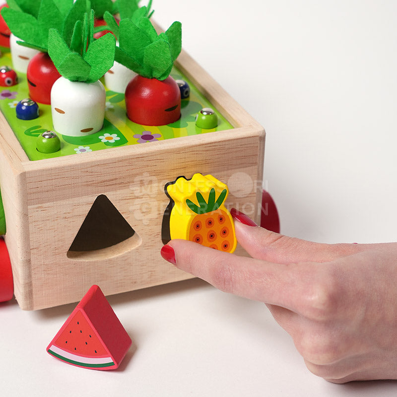 Montessori Easter Egg Hunt Bundle