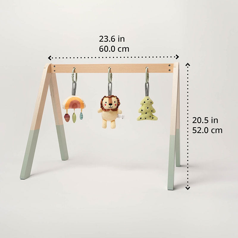 Montessori Play Gym