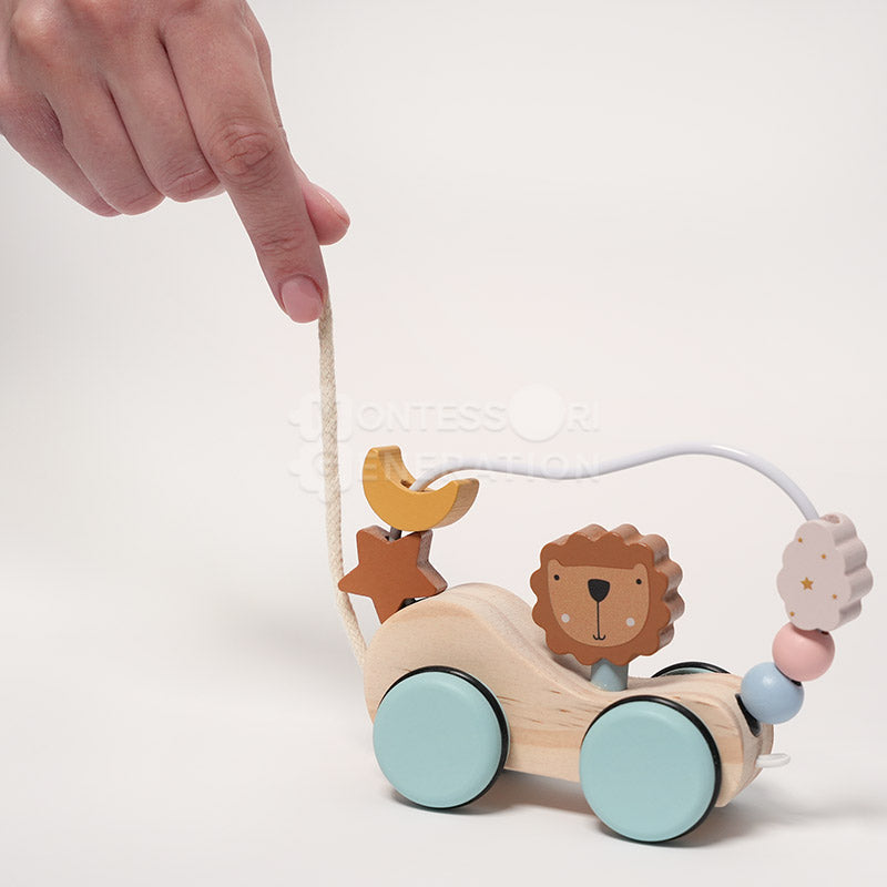 Montessori Roaring Roller