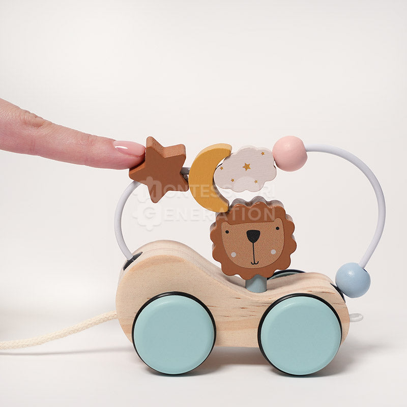 Montessori Roaring Roller
