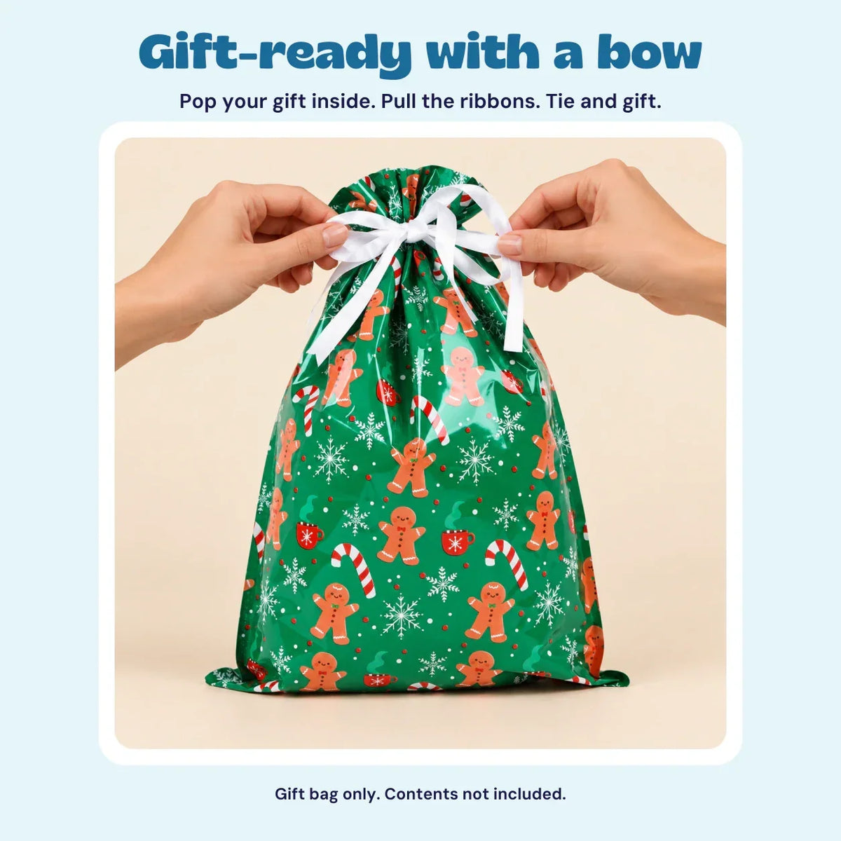 TibaToes™ Christmas Gift Bag