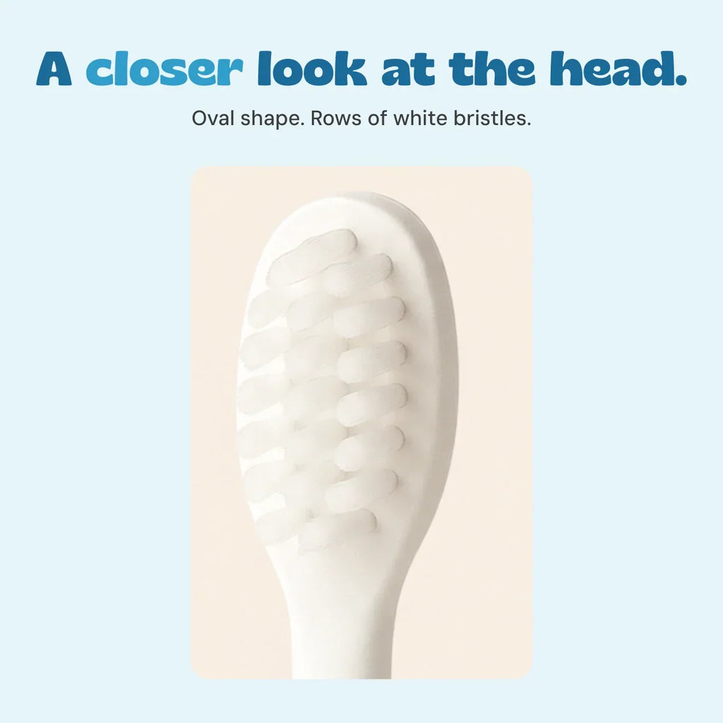 EasyBrush Brush Attachment