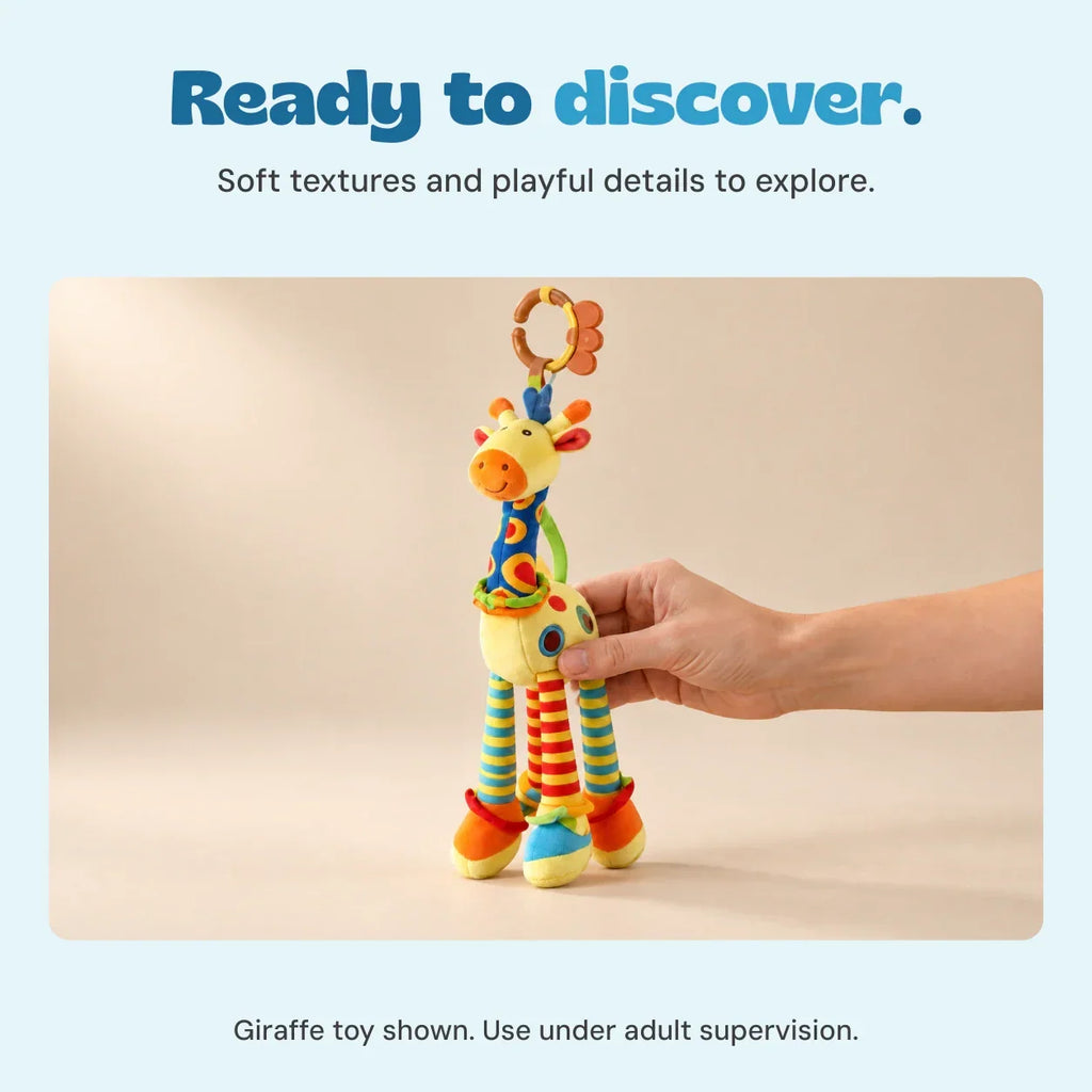 The Sensory Explorer Bundle