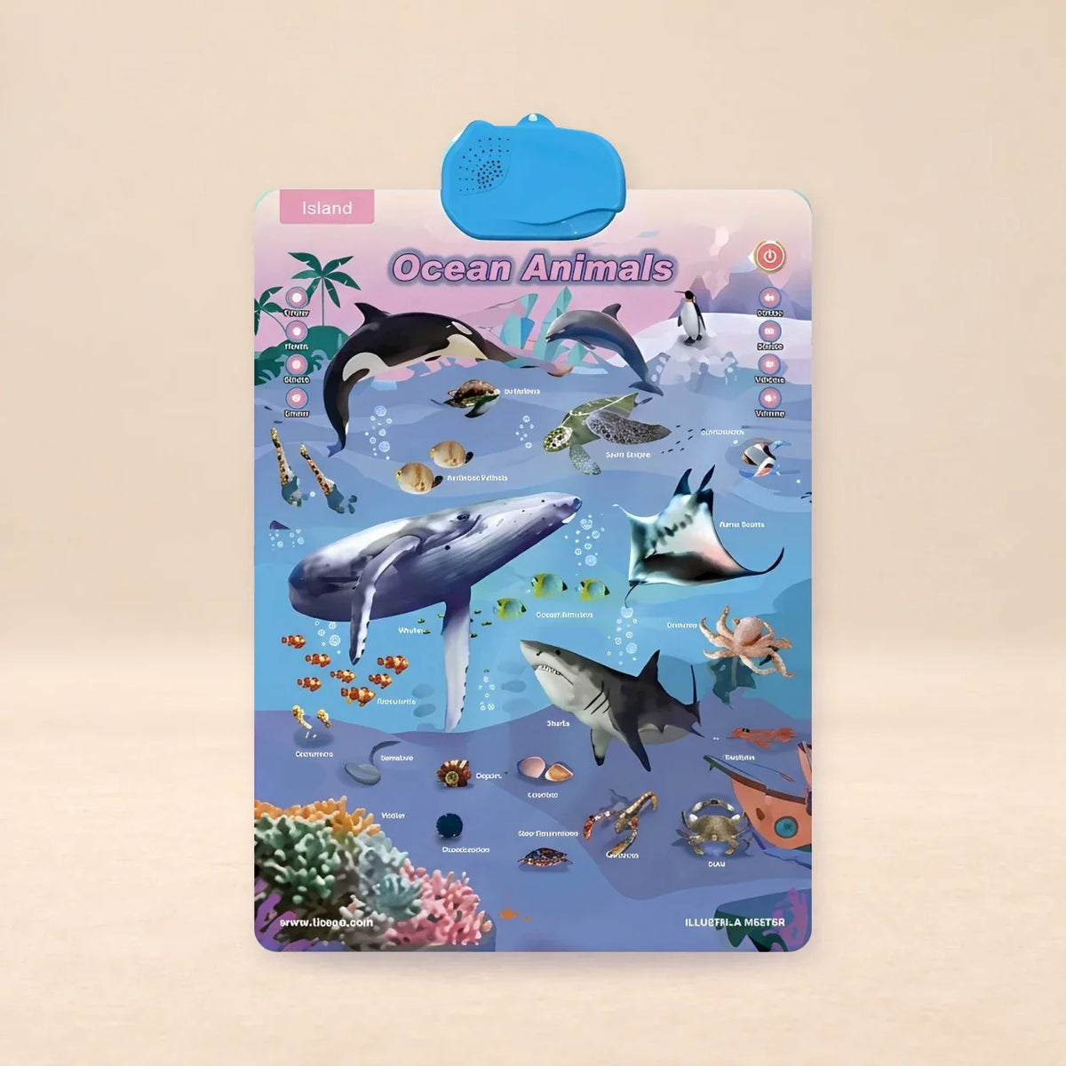 TibaToes™ Talking Alphabet Learning Wall Chart