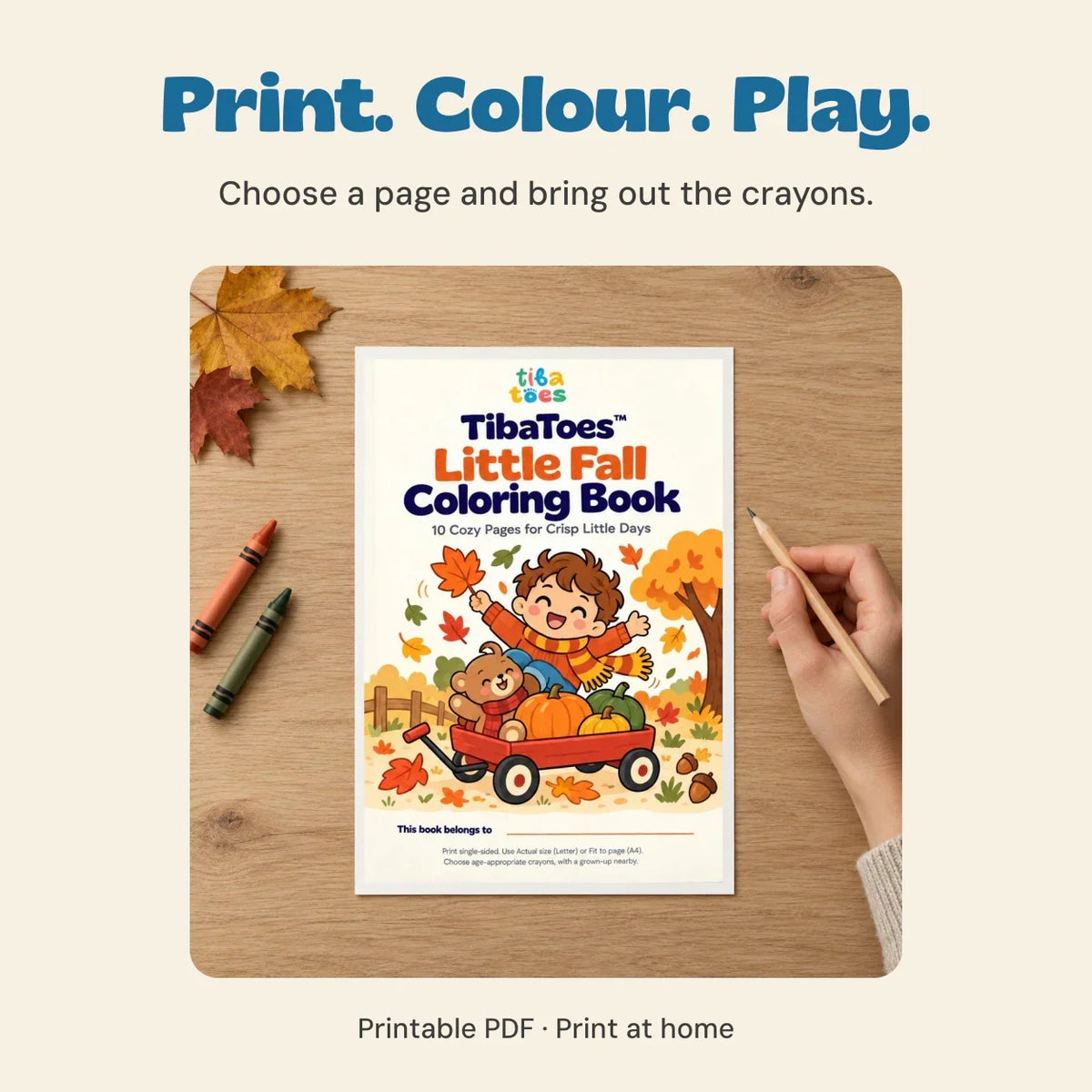 TibaToes™ Little Fall Coloring Book